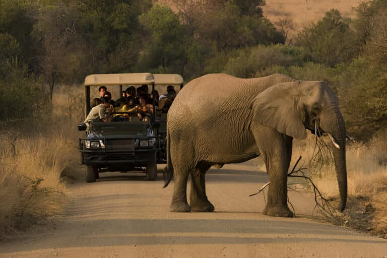 2 Day Radisson Kruger Fly-In Safari from Johannesburg